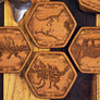 Dinosaur Fossil Coasters